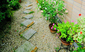写真13