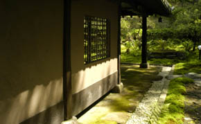 写真13