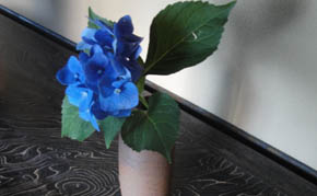 写真11