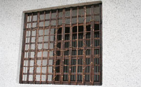 写真11