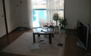 写真13